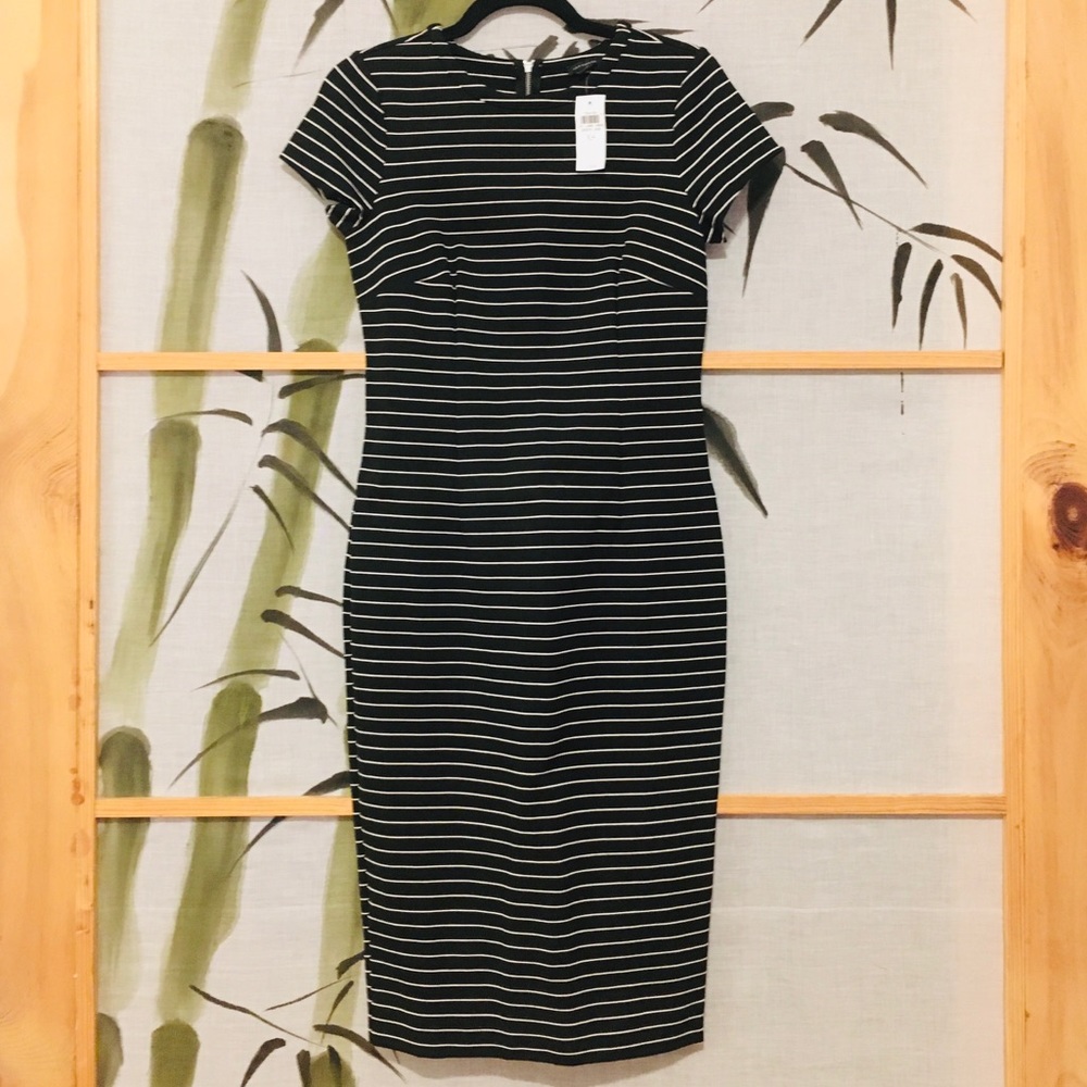 Formal Black and White Stripes Dress.